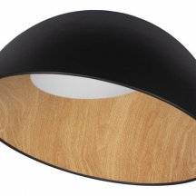 Потолочный светильник Loft IT Egg 10197/500 Black