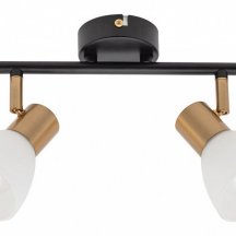 Спот Arte Lamp Falena A3117PL-2BK