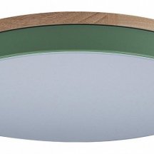 Потолочный светильник в детскую комнату Loft IT  10001/36 Green