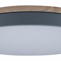 Потолочный светильник Loft IT Axel 10001/36 Grey