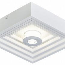 Настенно-потолочный светильник Escada Gesso 10218/SG LED