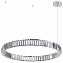 Люстра для натяжных потолков Odeon Light Vekia 4930/45L