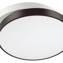 Потолочный светодиодный светильник Lumion Agatha 4509/72CL