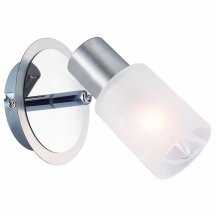 Настенно-потолочный светильник Arte Lamp Cavalletta A4510AP-1SS