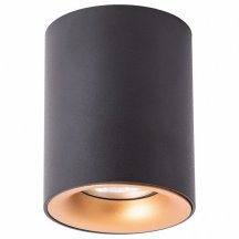 Потолочный светильник Arte Lamp Torre A1532PL-1BK