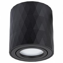 Потолочный светильник Arte Lamp Fang A5559PL-1BK