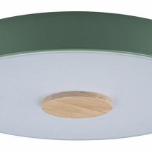 Потолочный светильник Loft IT Axel 10003/24 Green