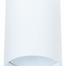 Потолочный светильник Arte Lamp Beid A1517PL-1WH