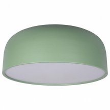 Потолочный светильник Loft IT Axel 10201/480 Green