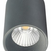 Накладной точечный светильник Escada 20003 20003SMU/01LED SGY