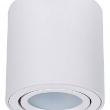 Потолочный светильник Arte Lamp Beid A1513PL-1WH