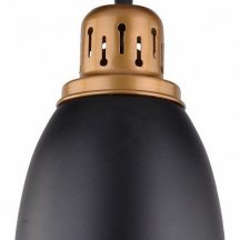 Подвесной светильник Arte Lamp Eurica A4248SP-1BK