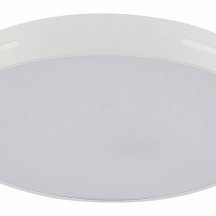 Потолочный светильник Modern LED LAMPS 81332