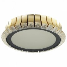 Потолочный светильник Odeon Light Asturo 4994/75L