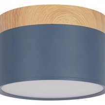 Накладной светодиодный светильник Loft IT Grape 10162 Blue