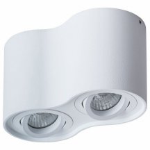 Потолочный светильник Arte Lamp Falcon A5645PL-2WH