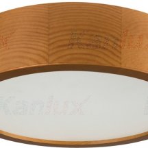 Настенно-потолочный светильник Kanlux JASMIN 270-G/O 36440