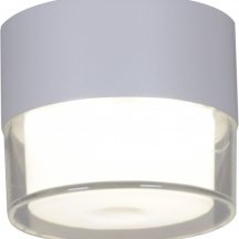 Потолочный светодиодный светильник Reluce 81155-9.5-001MN LED7W WT