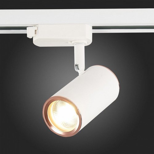 Светильник на штанге ST Luce Cromi ST301.526.01