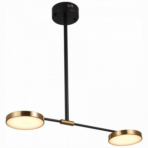 Светильник на штанге ST Luce Farone SL1605.403.02