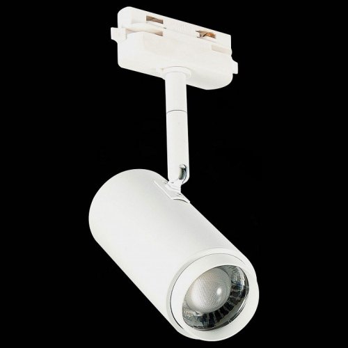 Светильник на штанге ST Luce Zoom ST600.546.12