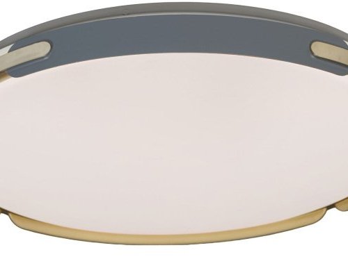 Потолочный светодиодный светильник Lumina Deco Paneli LDC 8063-48W BL