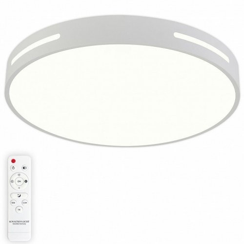 Потолочный светильник Modern LED LAMPS 81332