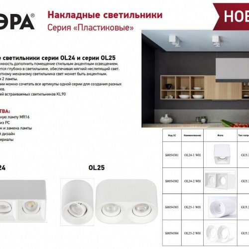 Накладной светильник Эра OL24-1 WH Б0054381