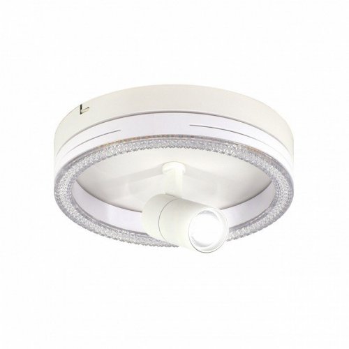 Настенно-потолочный светильник Escada 20044LED 20044SMA/02LED WH