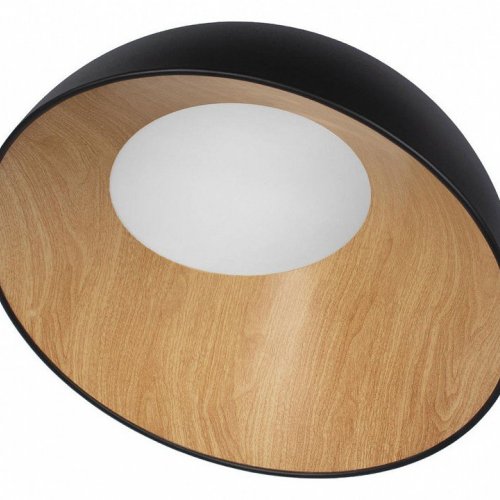 Потолочный светильник Loft IT Egg 10197/500 Black