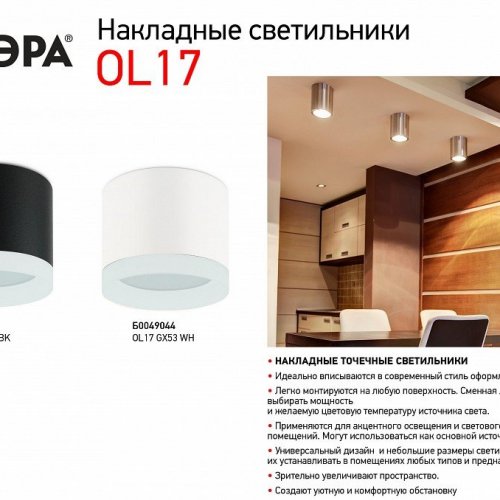 Накладной светильник Эра OL17 GX53 BK Б0049028