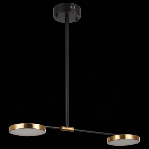 Светильник на штанге ST Luce Farone SL1605.403.02