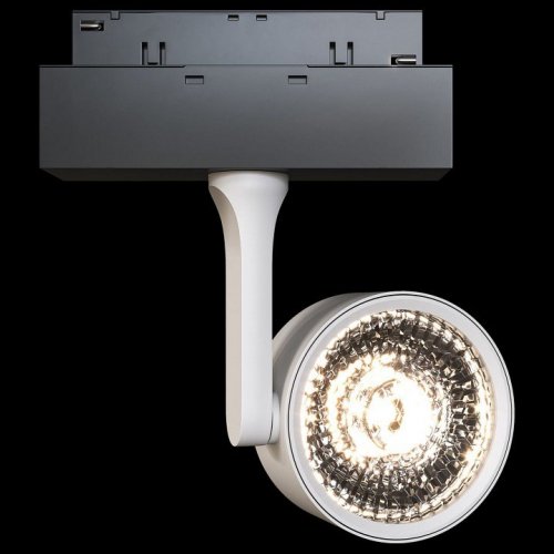 Трековый светильник Maytoni Track Lamps TR024-2-10W4K