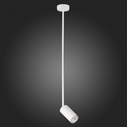 Светильник на штанге ST Luce Sormano SL1206.503.01