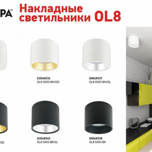 Накладной светильник Эра OL8 GX53 BK Б0048538