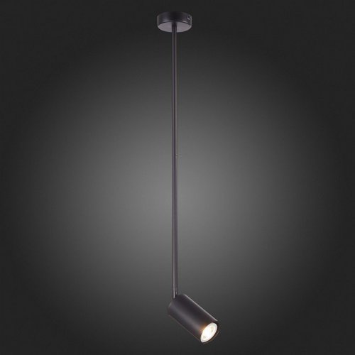 Светильник на штанге ST Luce Sormano SL1206.403.01