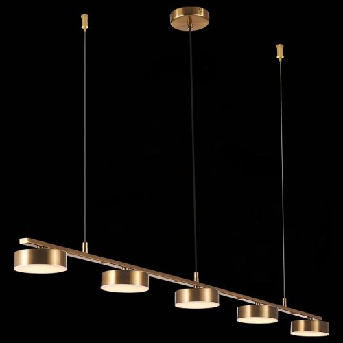 Подвесная светодиодная люстра ST Luce Pances SL6000.303.05