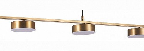 Подвесная светодиодная люстра ST Luce Pances SL6000.303.05