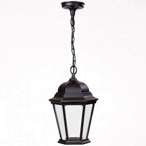 Уличный светильник подвесной Oasis Light 91405L Bl