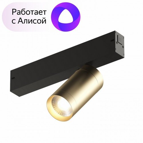 Трековый светильник Denkirs Smart Spot DK8010-BG