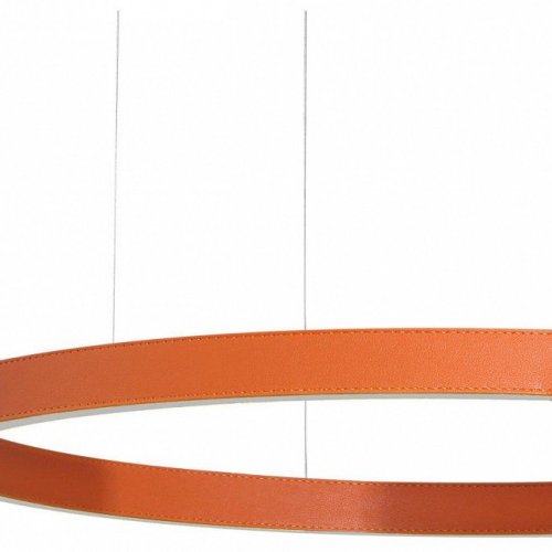 Подвесной светодиодный светильник Loft IT Ring 10025/600 Orange