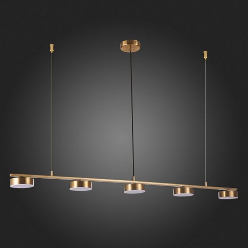 Подвесная светодиодная люстра ST Luce Pances SL6000.303.05