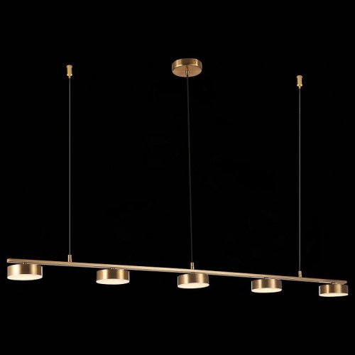 Подвесная светодиодная люстра ST Luce Pances SL6000.303.05