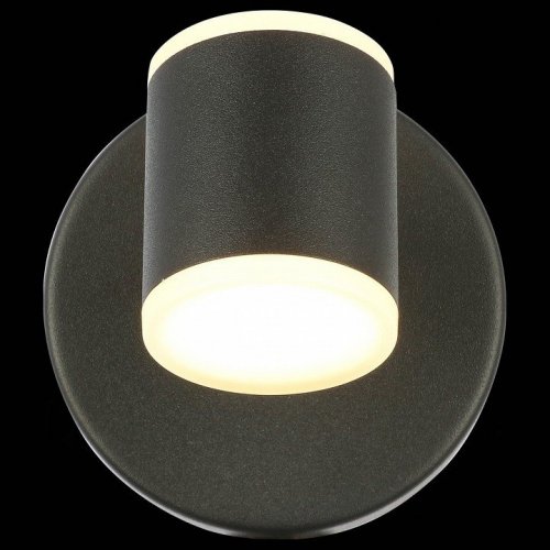 Светодиодный спот ST Luce Formolla SL1597.401.01