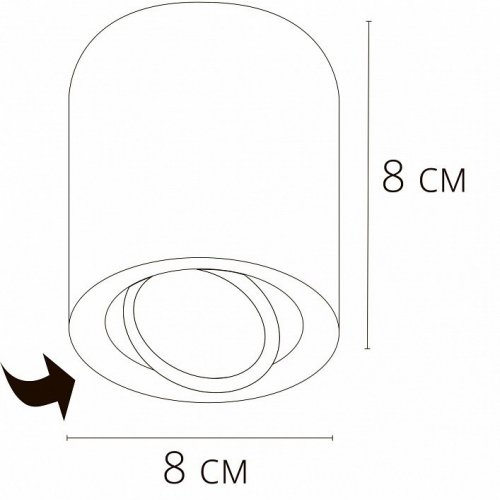 Потолочный светильник Arte Lamp Beid A1513PL-1BK