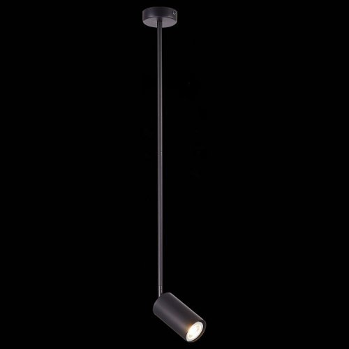 Светильник на штанге ST Luce Sormano SL1206.403.01