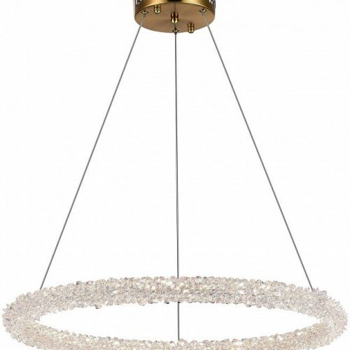 Подвесной светодиодный светильник ST Luce Avana SL6110.213.01