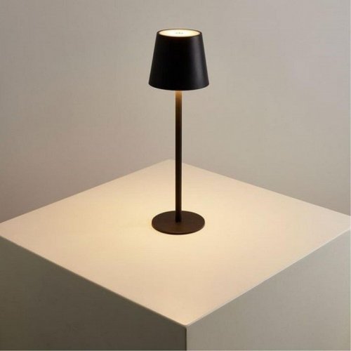 Настольная лампа декоративная Arte Lamp Fuyue A1614LT-1BK