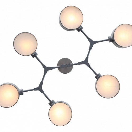 Потолочная люстра Evoluce Gimento SLE183702-06