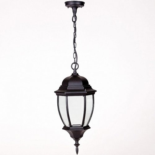 Уличный светильник подвесной Oasis Light 91205L Bl